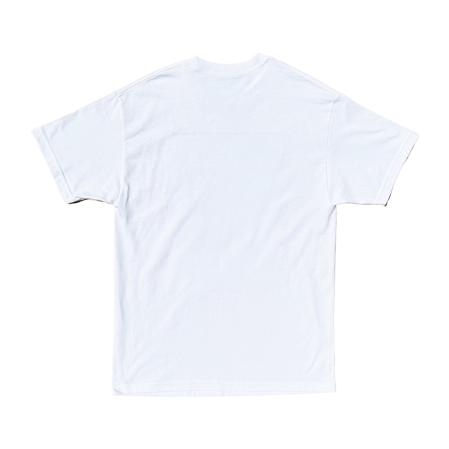 Folklore of Snow Country v2 Tee